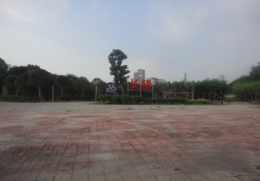 做好園林綠化工作，人人有責