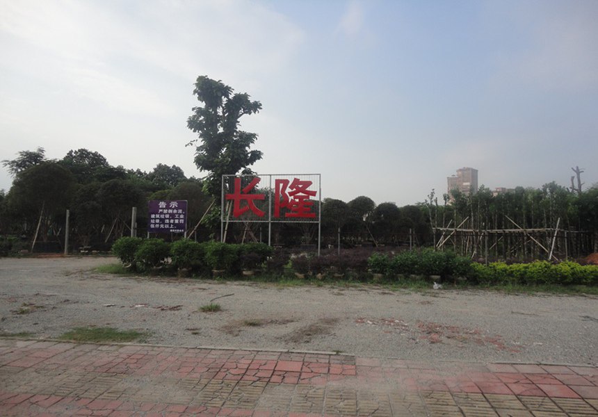 園林景觀綠化公司常用宣傳廣告語