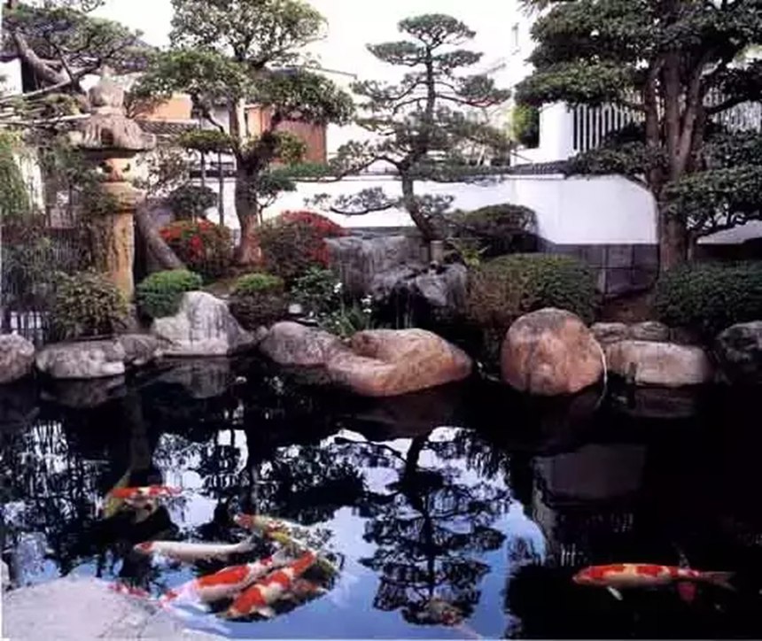 中國錦鯉魚池